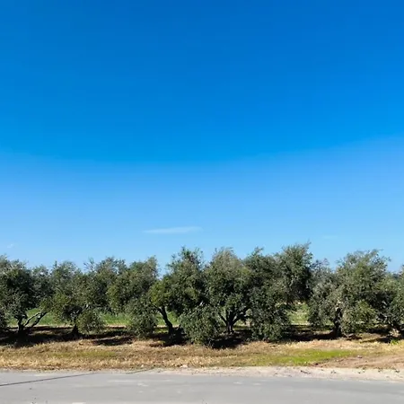 Mermaid マンドリア