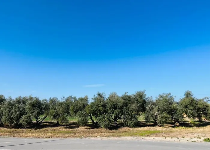 Mermaid Mandria (Paphos)